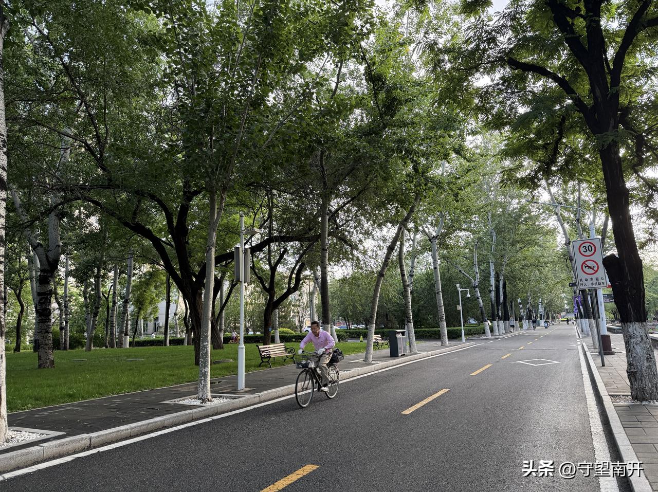 南开大学的大中路，简直是校园里的宝藏之地。穿过车水马龙的卫津路，从学校东门一进来