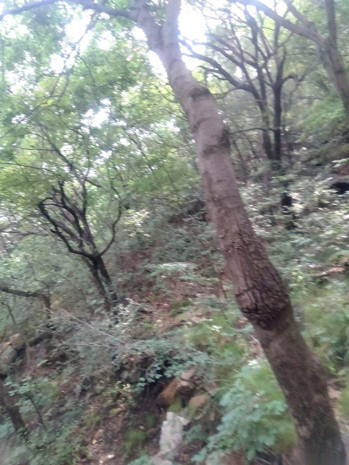 我叔，五十多岁，身子骨硬朗得很，就因为在路上捡了根绳子，半个月，人就没了。
真的