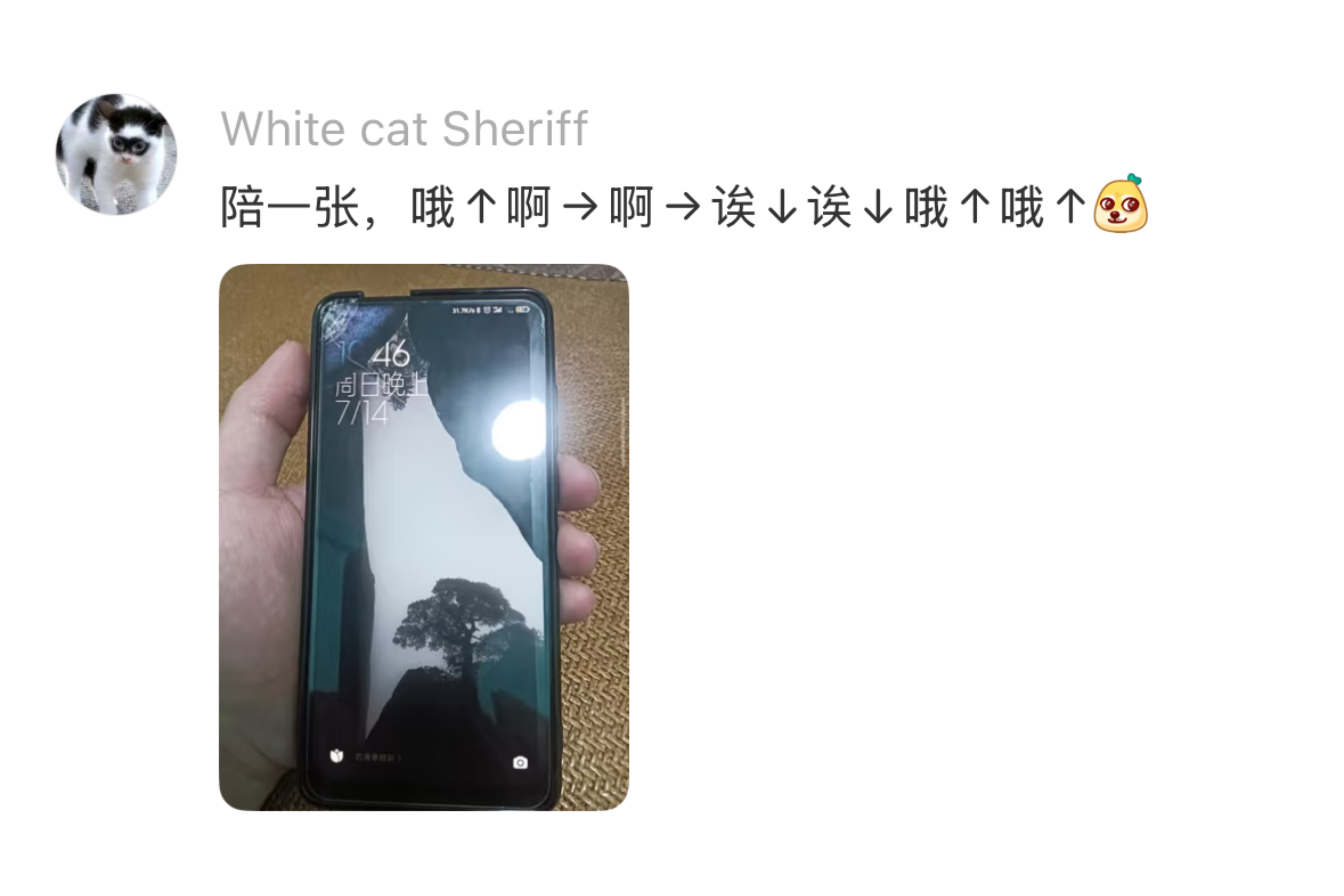 把手机摔成陶喆了 