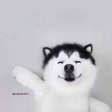 暖乎乎热读体育