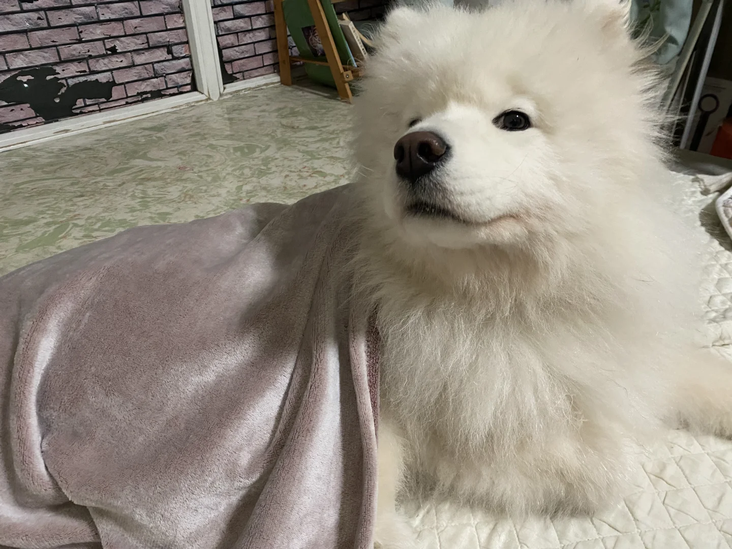 给小朋友盖上小毛毯就去上厕所 结果一出来