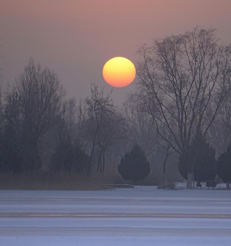 《我为君心》
剪一缕阳光打金针
剪一缕月光打银针
金针银针穿彩线
绣出山前春深深