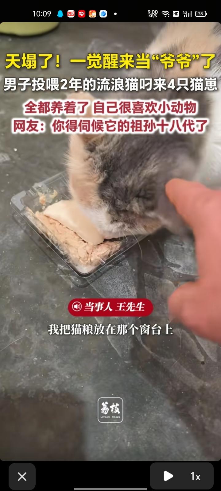 3月31日，咸阳市礼泉县。王先生称，自己看到一只猫在窗台上蹲着，叼着一只猫崽掉地