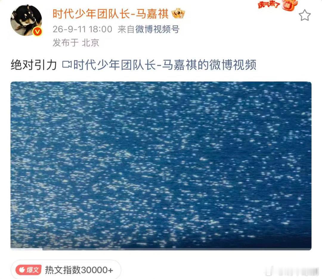 世界纷纷扰扰马嘉祺专注EP宣发马嘉祺的粉丝现状做此男的粉丝好幸福吧！世界纷纷扰扰