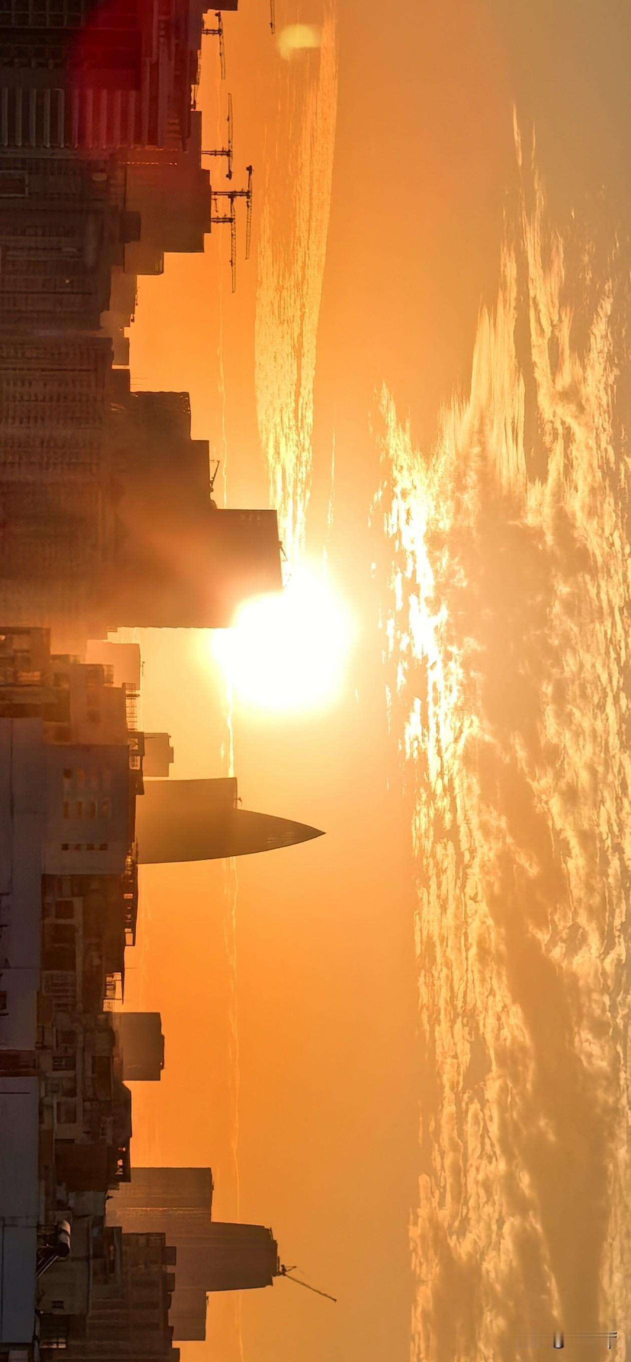 分享我这周有趣的事：冬日南方窗外绒黄时，晨早即景！
深圳城市图片 分享你的随手拍