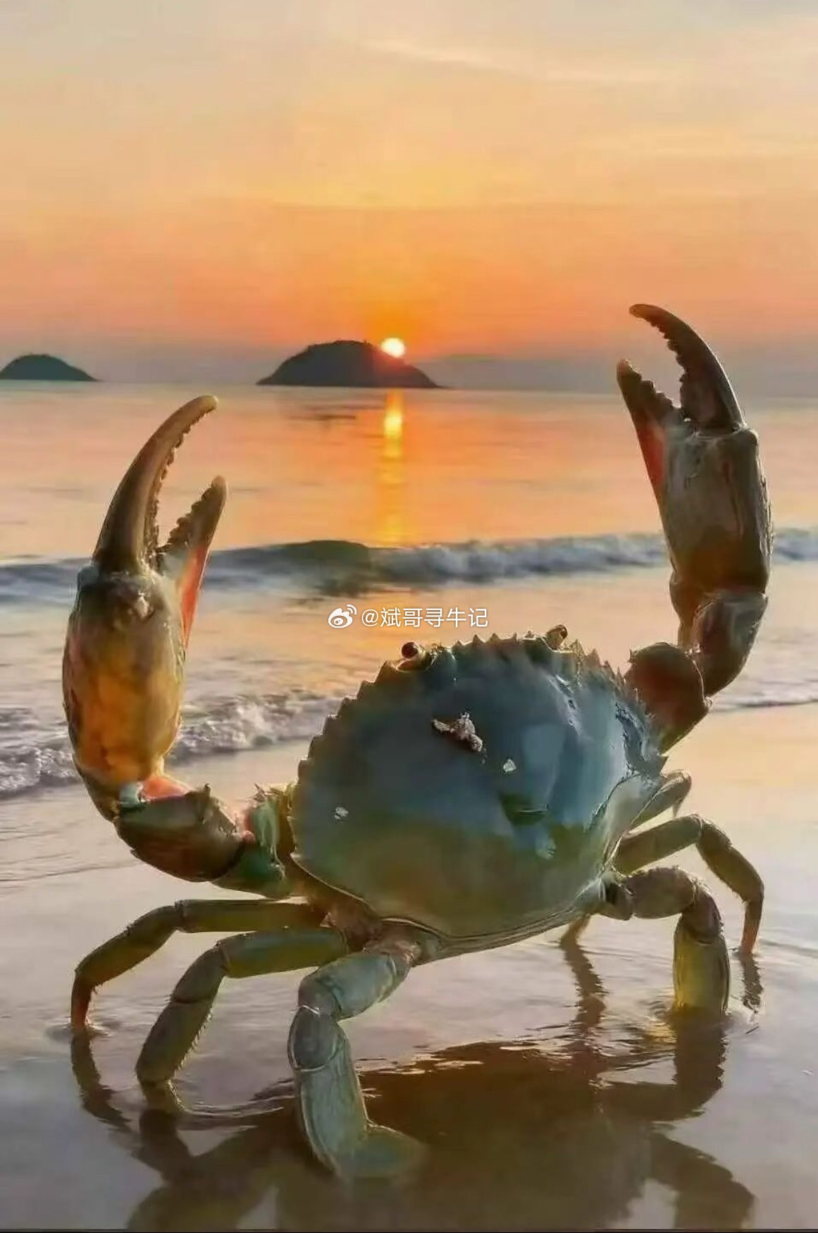 明日坚定看涨，有望冲击60日线、突破本周高点3967，收中小阳线昨日预判午后阳包