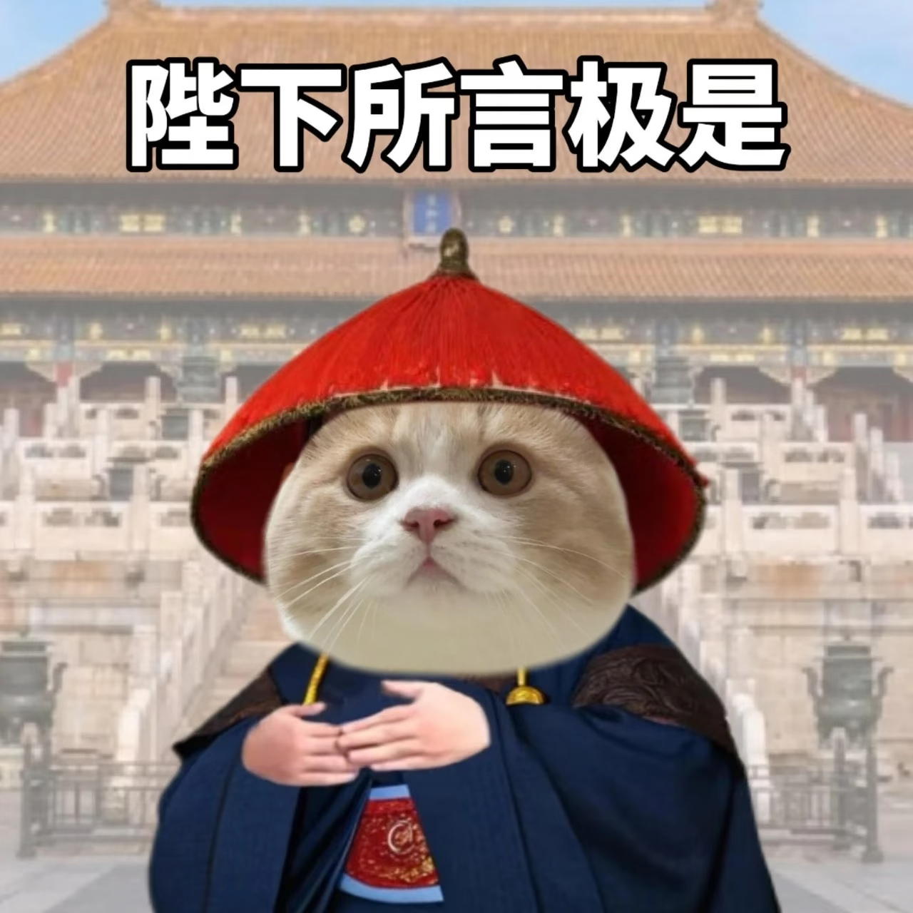 王俊凯首张同名专辑WJK🩵腾讯音乐由你榜  海浪轻吻沙滩，像一句未说完的情话，