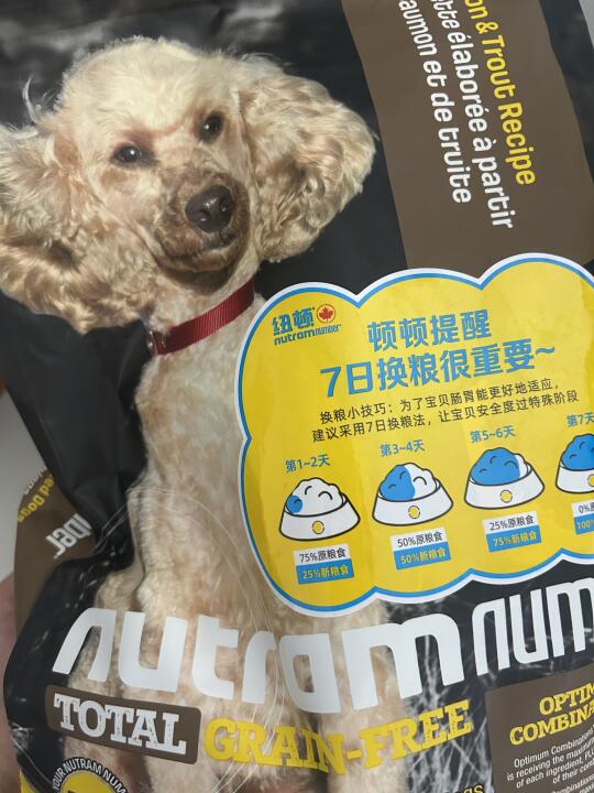 纽顿t28对柯基肠胃还行