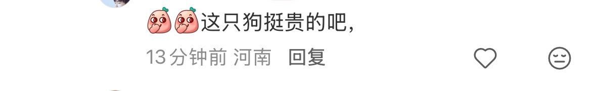 剧组替身：“这狗挺贵的吧”被爱包围的小狗🐕 状态气质就贵贵的