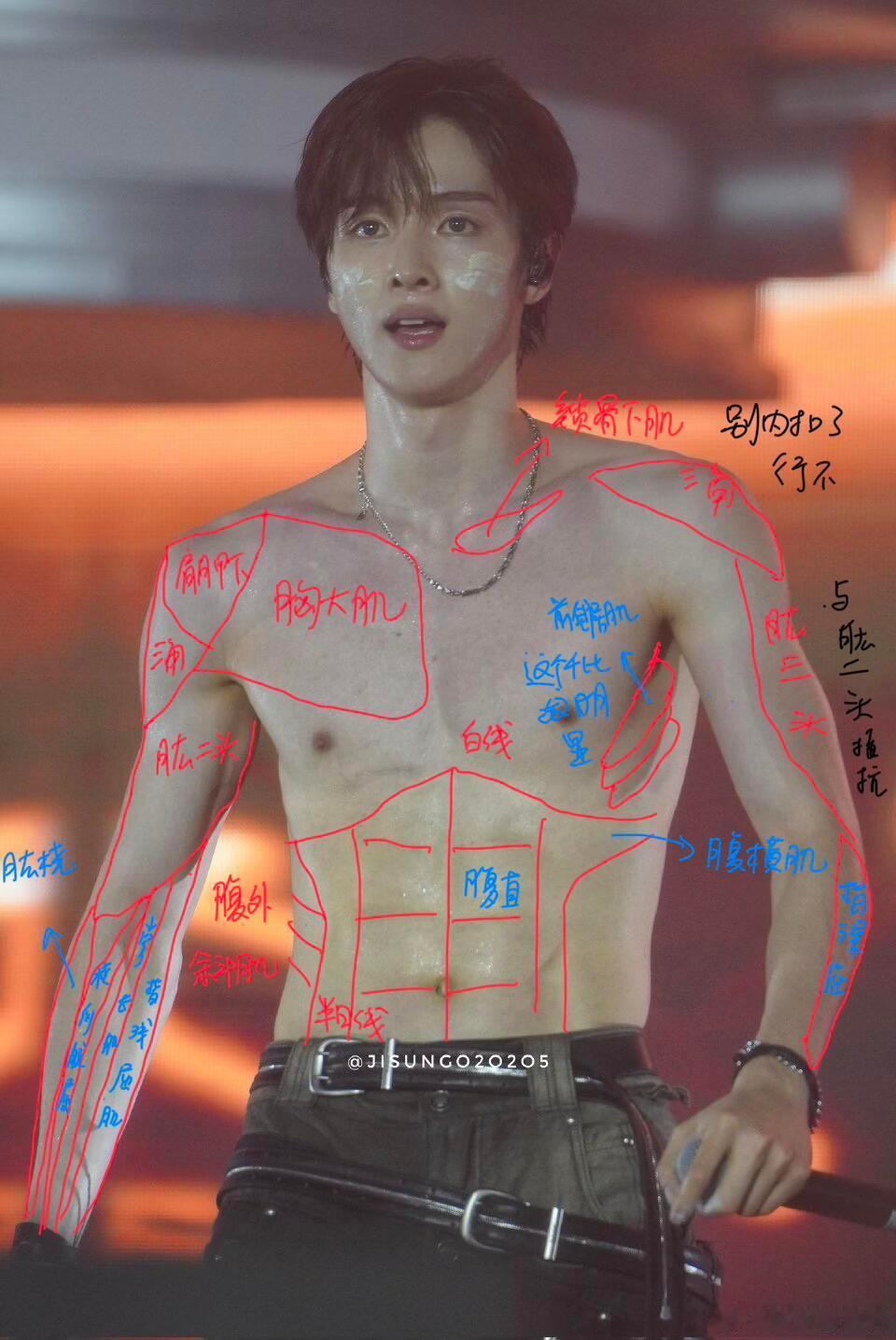 不知道上半身学名的可以看这个学 