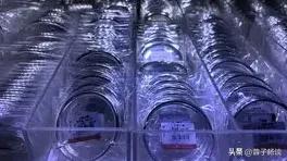 银价暴涨60%！羡慕了，杭州一投资者一月躺赚36万!
白银价格突破历史新高！现货