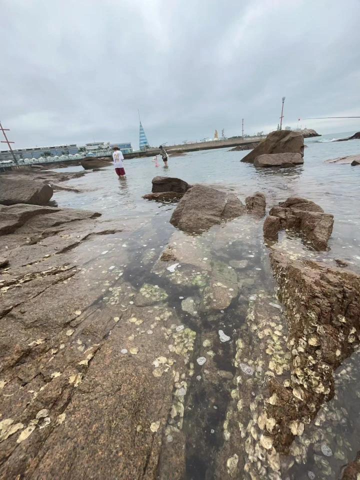 海边踏浪听涛，山涧静听清泉，一闹一静，皆是夏日独有的治愈与浪漫。[微风][微风]