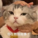 怀风热说影视剧