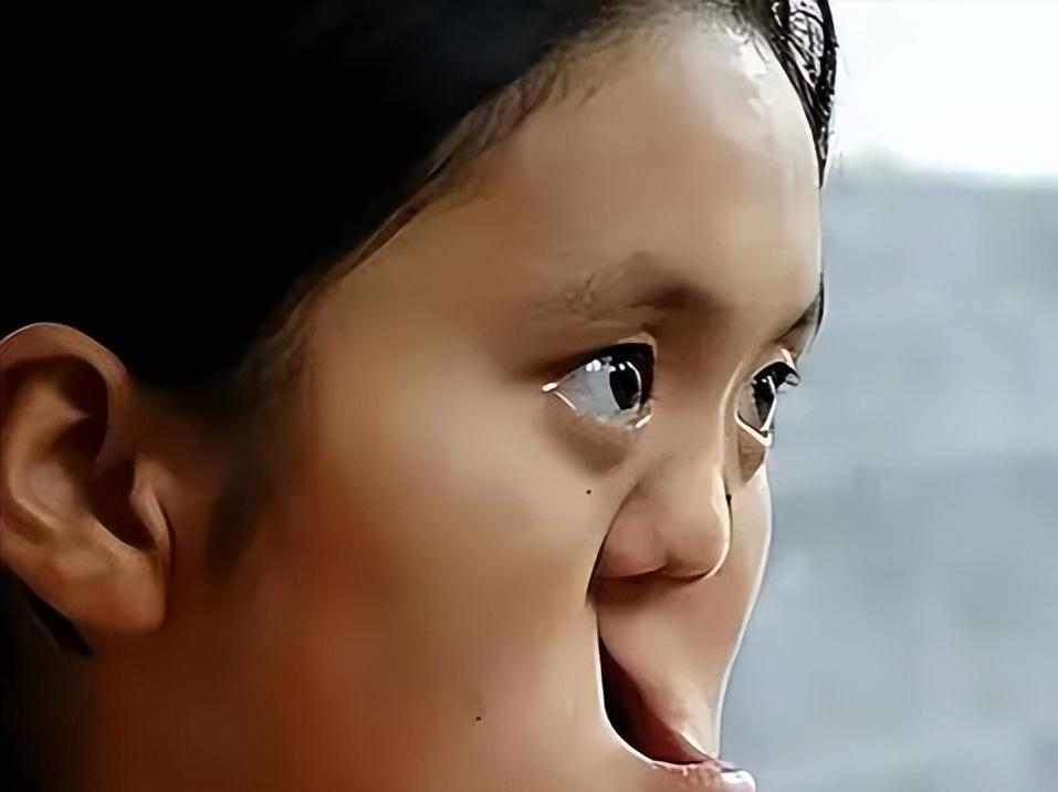 1990年，陕西一老农捡到一个没有嘴巴和鼻子的女婴，为了将其抚养长大，将自己的亲