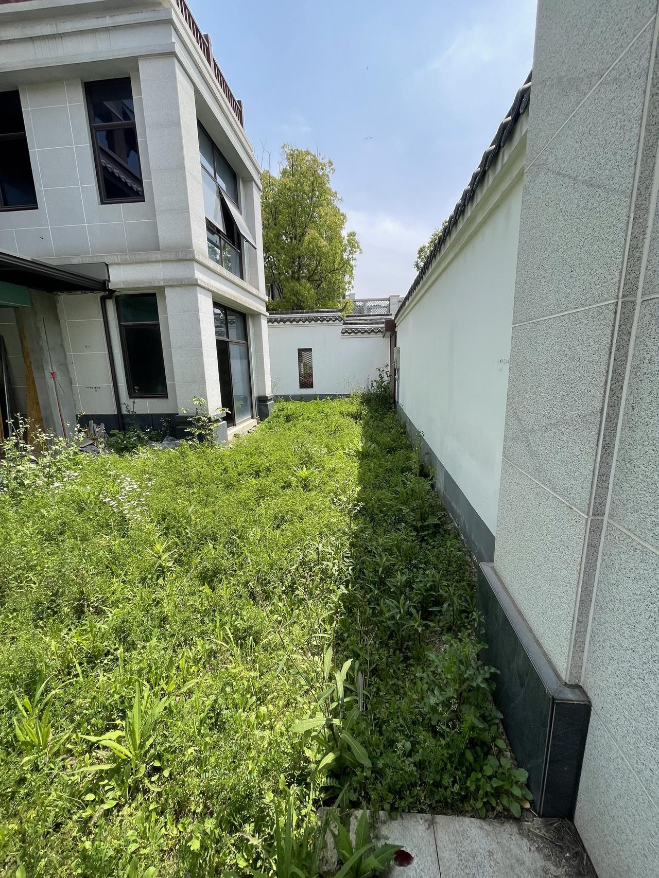 知音盛棠业主亏本200万卖今日优质房源实景拍摄 实景拍摄带你看房 住一楼带院子的