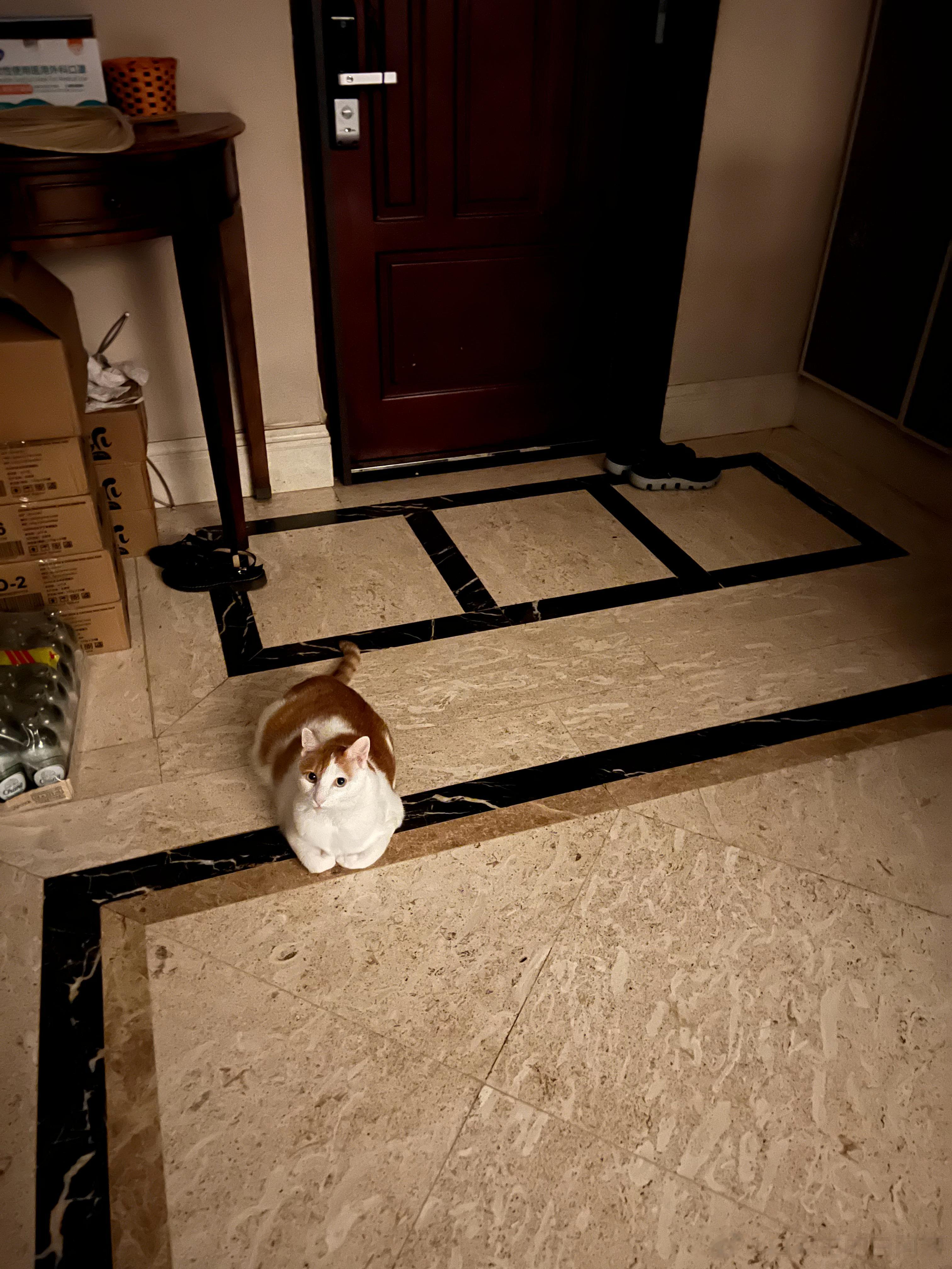 今天又是猴猴值大夜班，当然了每天都是猴猴值大夜班，我真的哭死，家宅安康全靠我猴猴