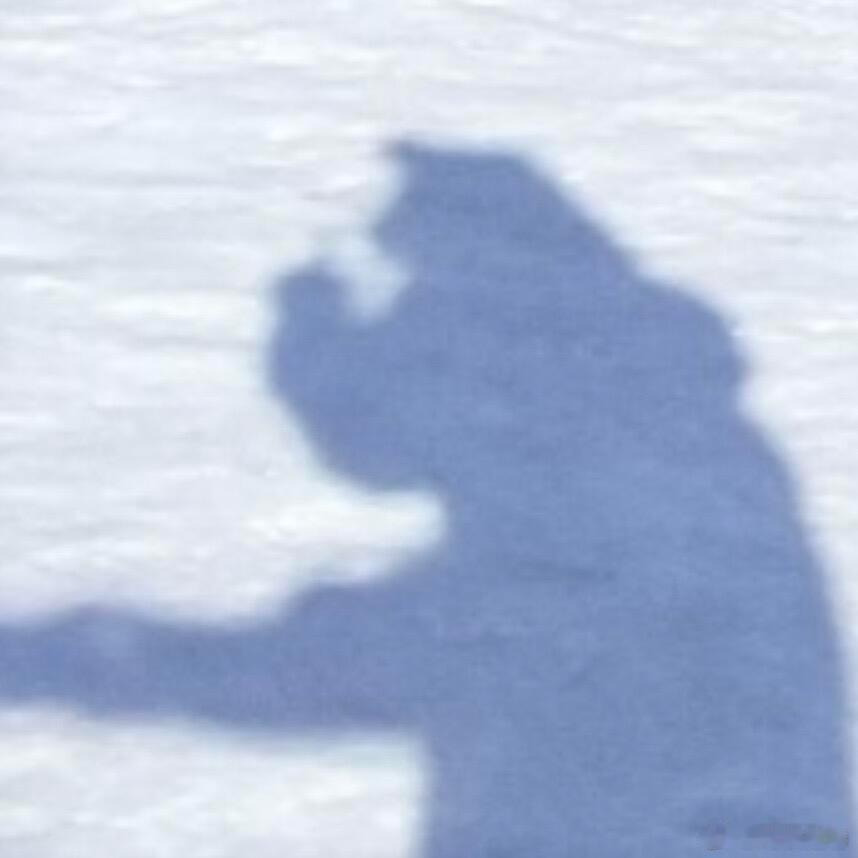 十个勤天 李耕耘不明显头像救命啊～我要被李耕耘可爱鼠了十个勤天  |  种地吧 