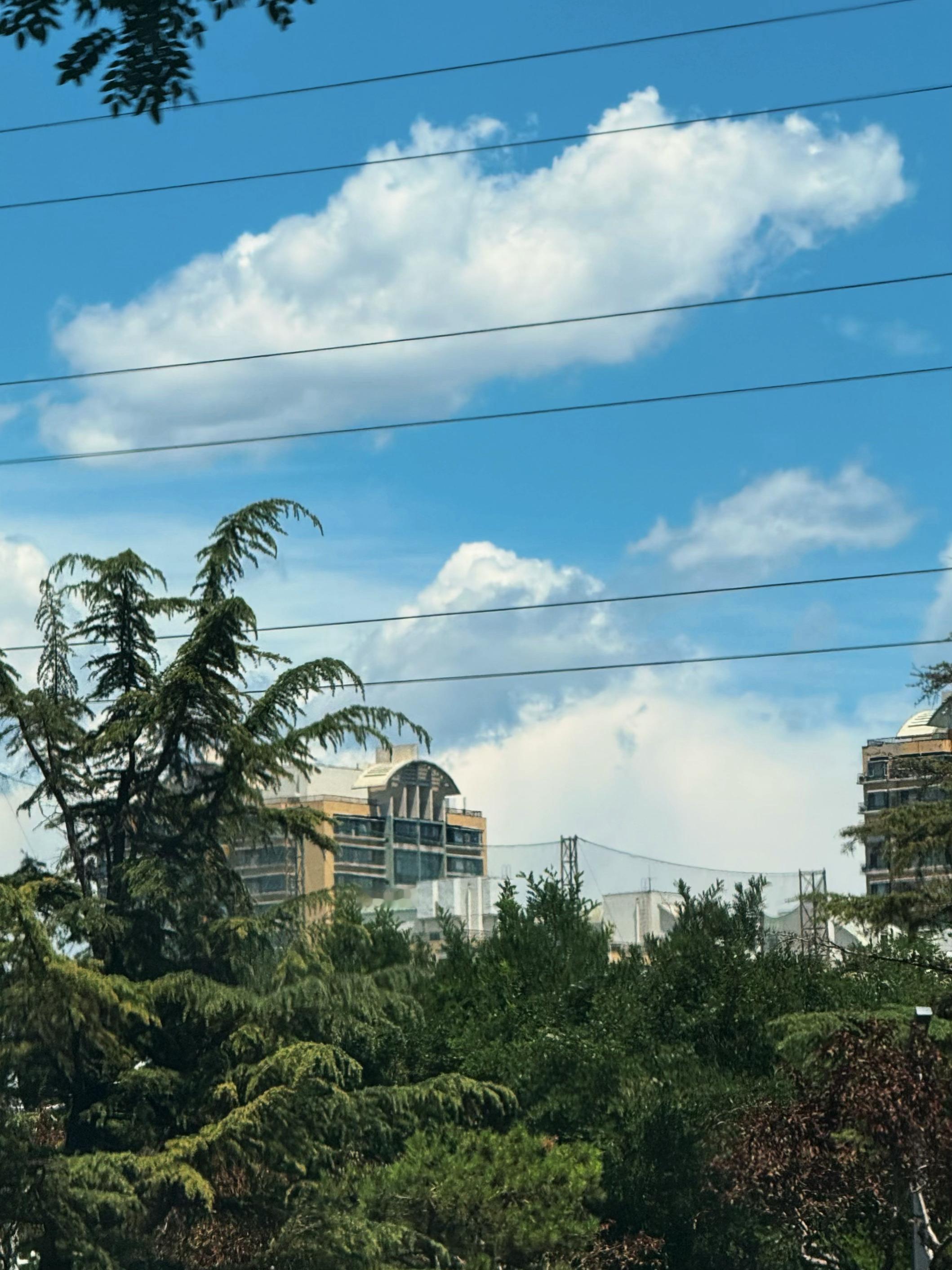 北京你咋了，，这个天气好得未免太夸张了 