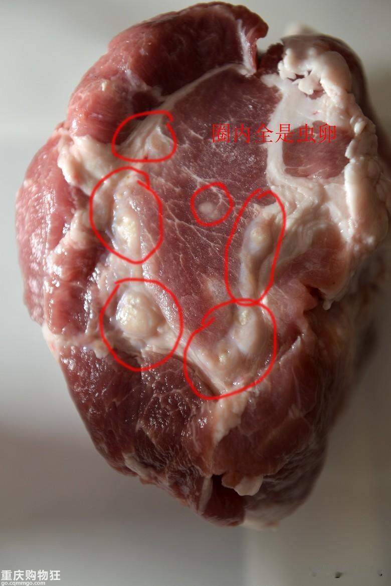 拥有百万粉丝的网红狗锄头被暴力偷盗杀害，卖肉，百万粉丝的网红狗都能被偷盗杀害，卖