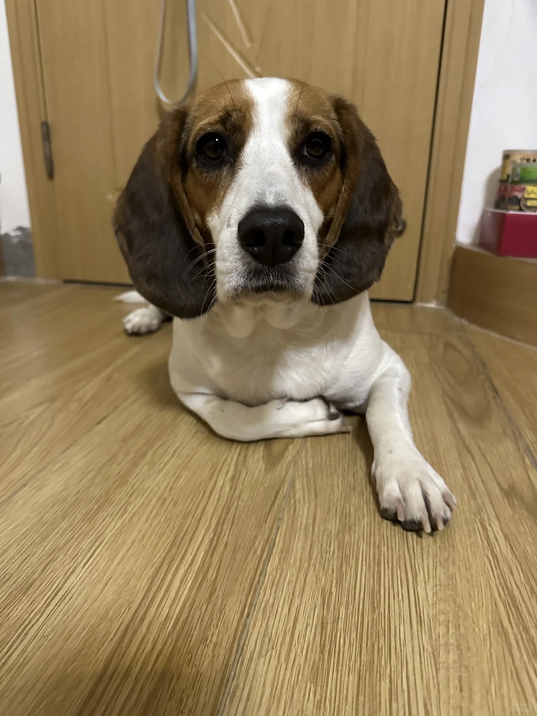 宝答应的赤色鸳鸯肚兜