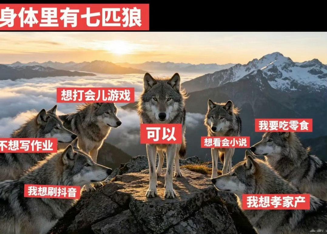 我体内有双重人格不要管我 
