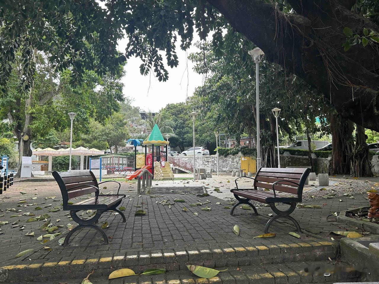普通跑步入场的新股民投身股市投资，
要清楚，“不亏”远比“多赚”重要得多。
记住