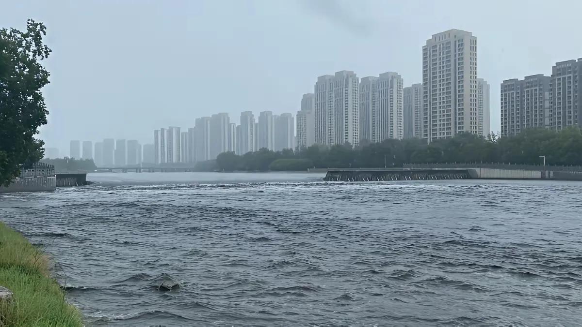 甘霖
               窗前一街雨，
               