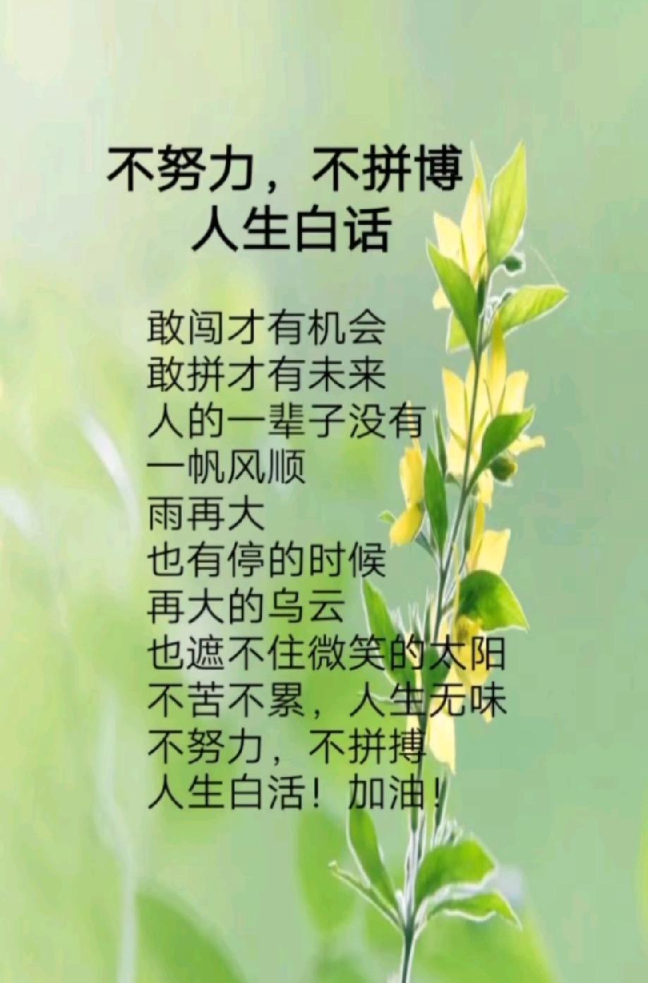 奋斗方显英雄本色，拼搏成就人生辉煌。

奋斗是青春最亮丽的底色，行动是青年最有效