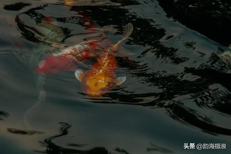唐代传奇故事
唐代余杭县（今浙江杭州余杭区）的县尉范达，一天晚上得一梦。梦中看见
