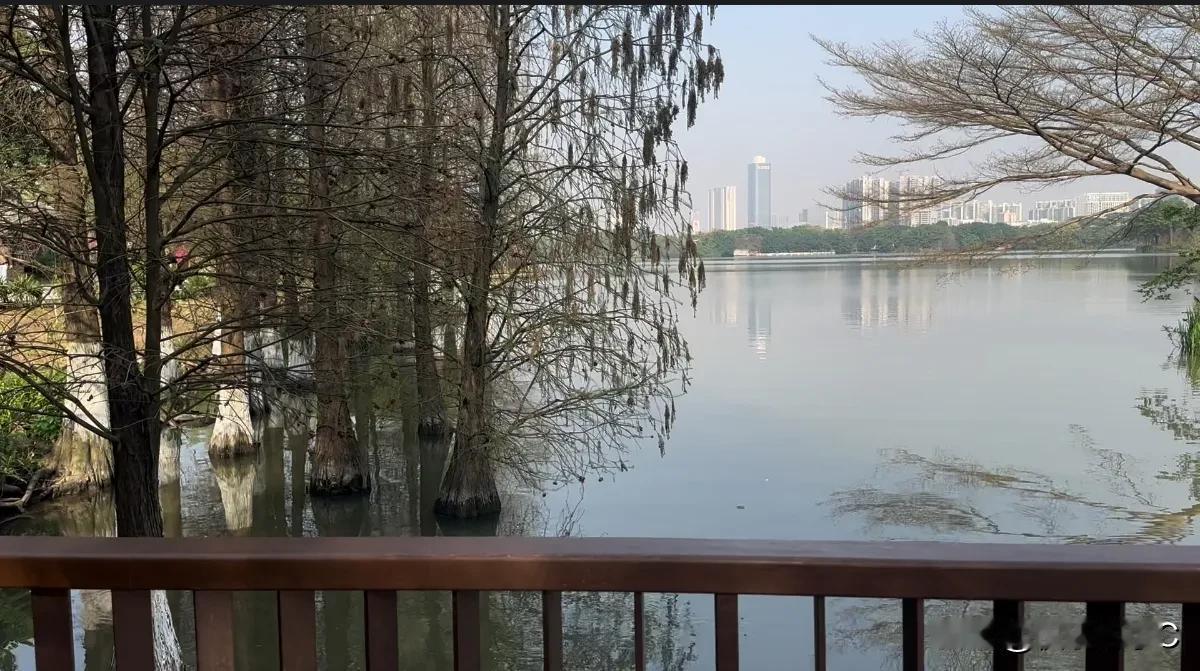 说到父母和家庭对自己的影响，那可真是太大了。感觉从小到大的每一步，都有他们留下的