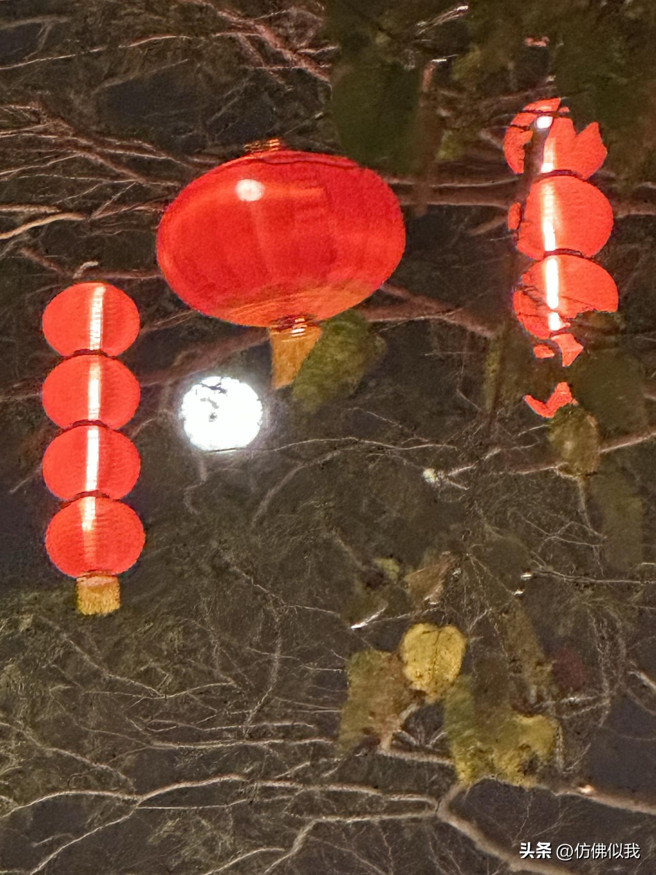 祝大家元宵快乐！月圆人圆事事皆圆！