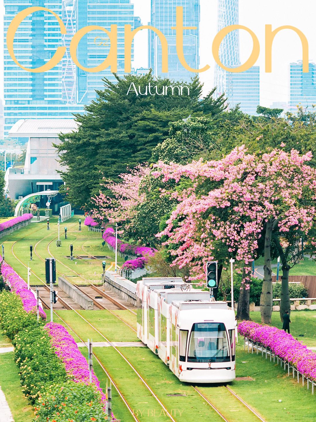 广州｜开往动漫世界的列车 美哭了🌸🌸