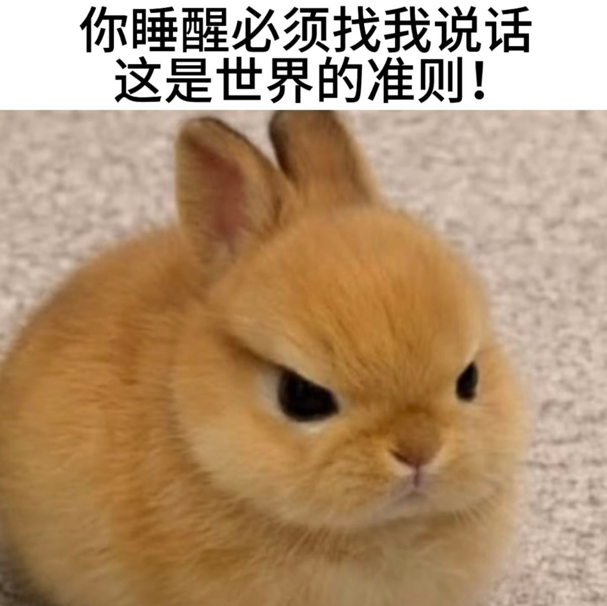 所有人看德拉科脸色行事！ 