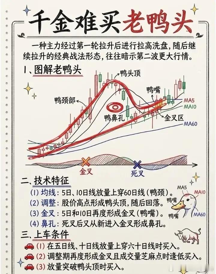 千金难买老鸭头，多看，多学！股市分析