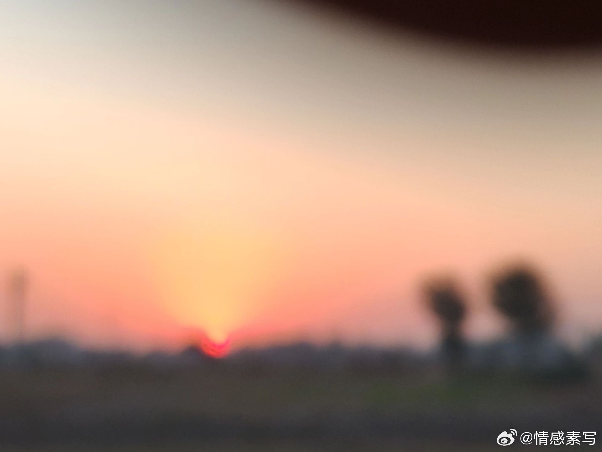 随手拍明知夕阳留不住，却将心事赋黄昏，如若再回初见时，只看黄昏不看人。 