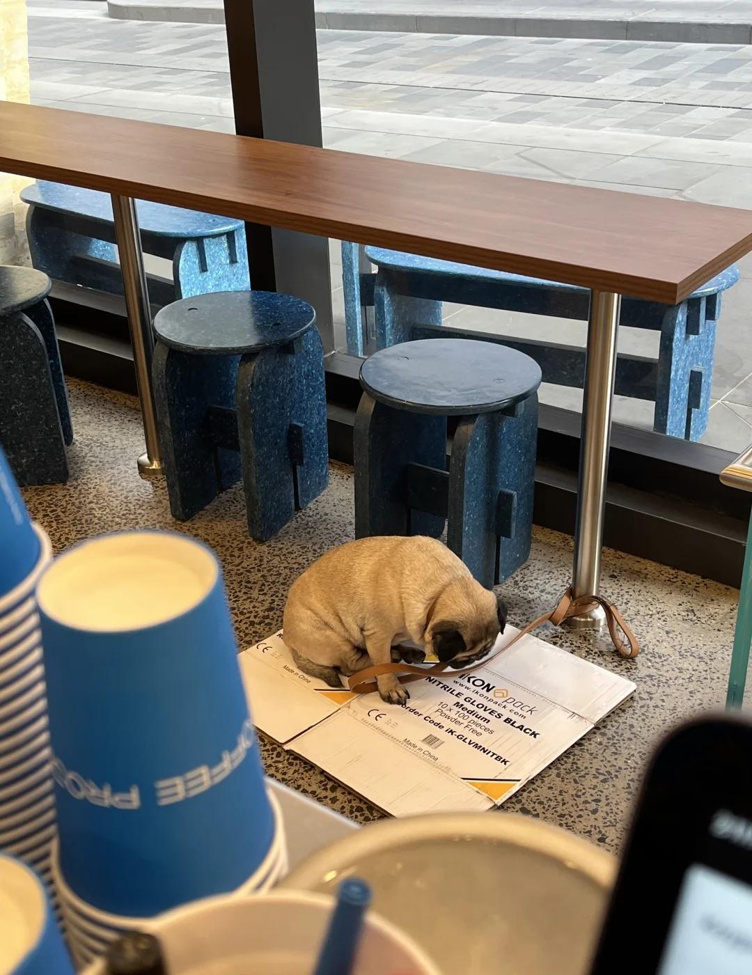 谁家小孩困晕了