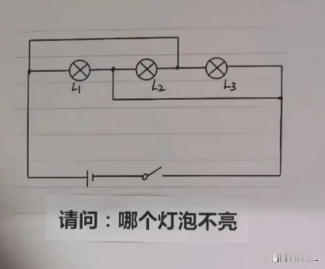 这个电路图你会么？哪个灯泡不亮？