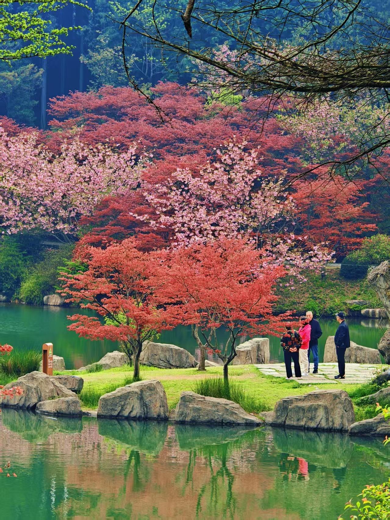 寻美宁波同心行激活四明老区共富动能 “同心新阶层 共富建设力”2026“寻美宁波