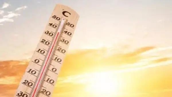 7月15日正式开启三伏天，这是全年最热、湿气最重的时段。今年三伏40天，初伏10