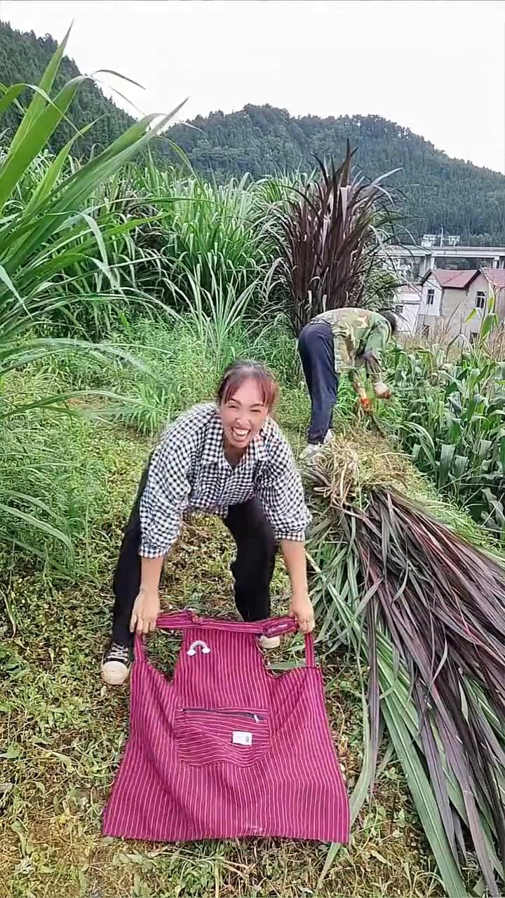 《洪湖水浪打浪》。
洪湖水呀，啊浪呀嘛浪打浪啊。