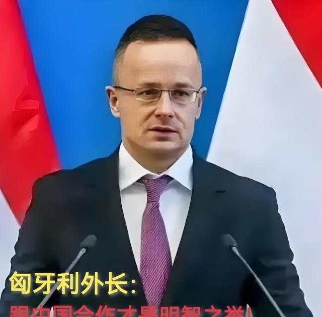 现在全欧洲最后悔的就是德国了吧！不是因为中国，也不是因为美国。而是因为匈牙利。想