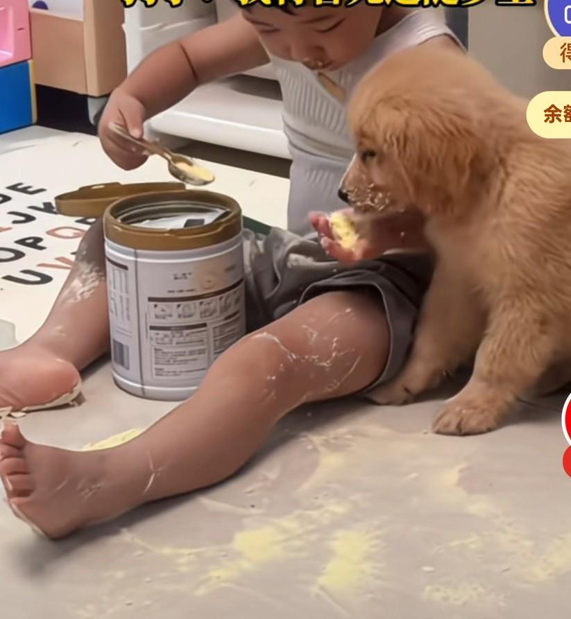 小孩哥用奶粉喂狗狗，并且狗粮管够把狗粮堆在了狗狗的身上，
还在狗粮上倒奶粉，
结