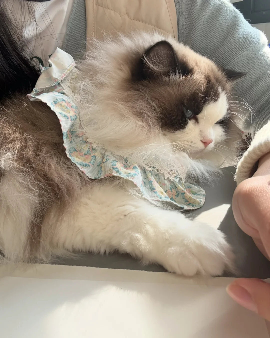 独生咪的家庭好和谐