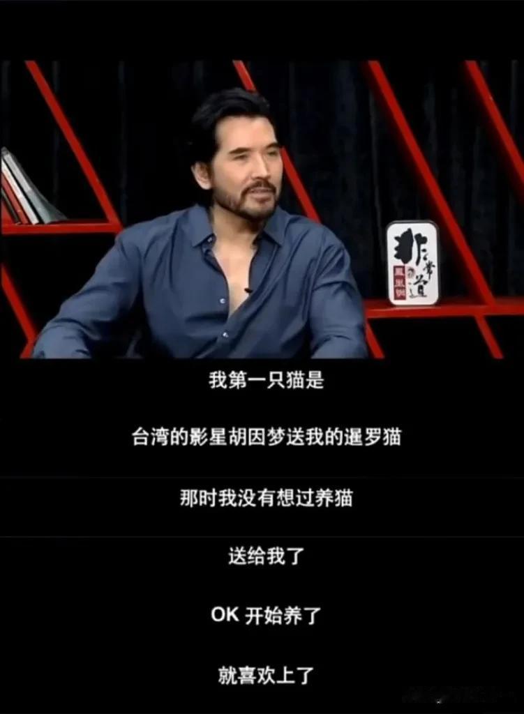 悲伤是爱的代价——费翔这段采访我看了不下十遍！#娱评大赏#