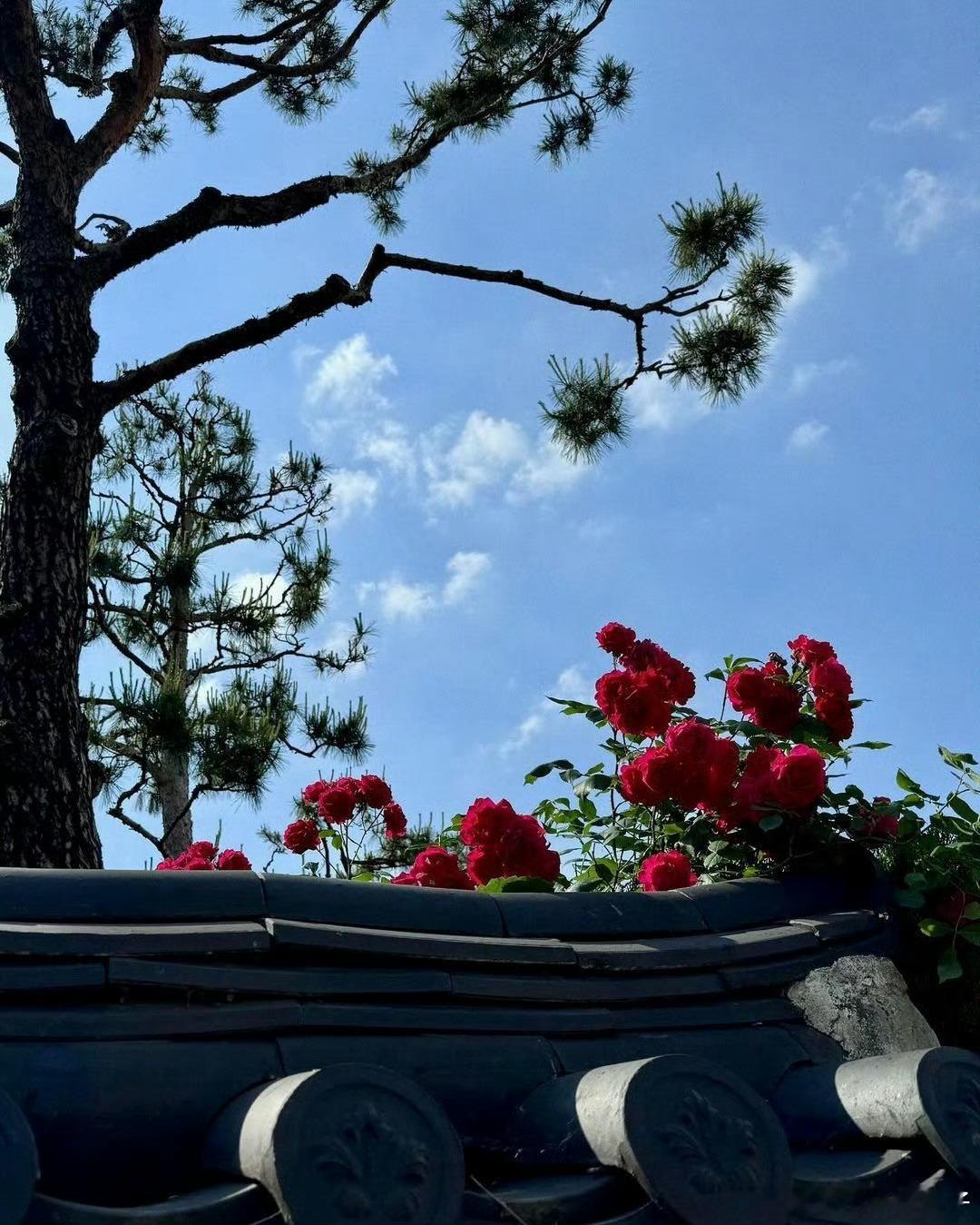 每日一善[超话]                          ☀️ 早上好
