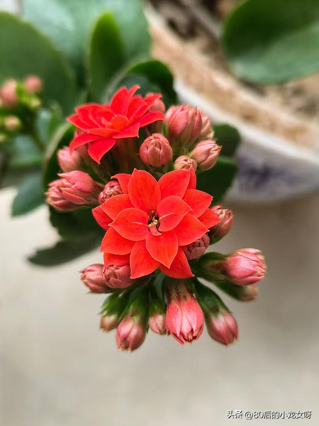 今天3月21日，星期六

我依然在上班，今天能休息的估计是有单位的公务员，还有全