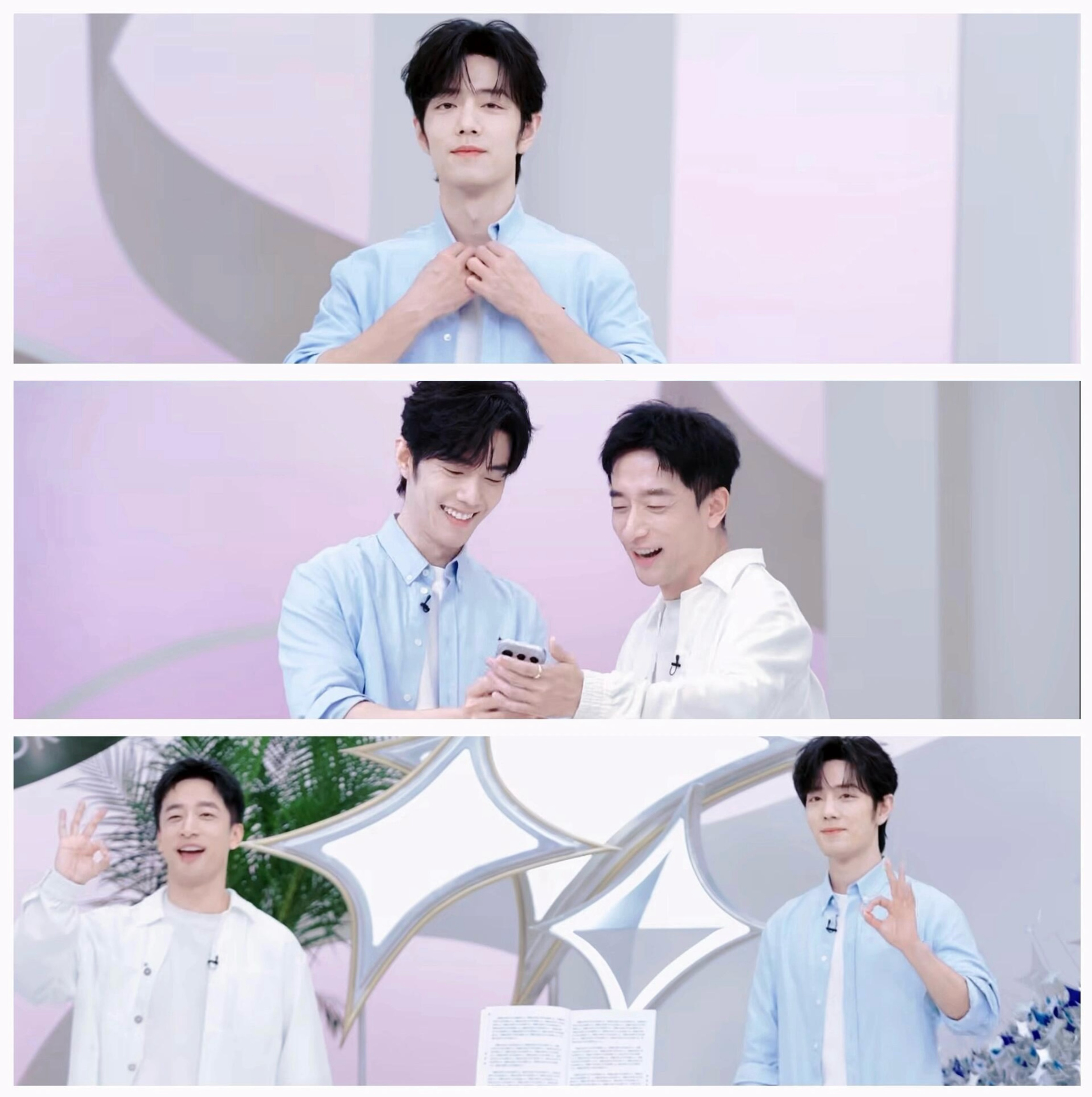 今天格外好看开心的小狐狸 