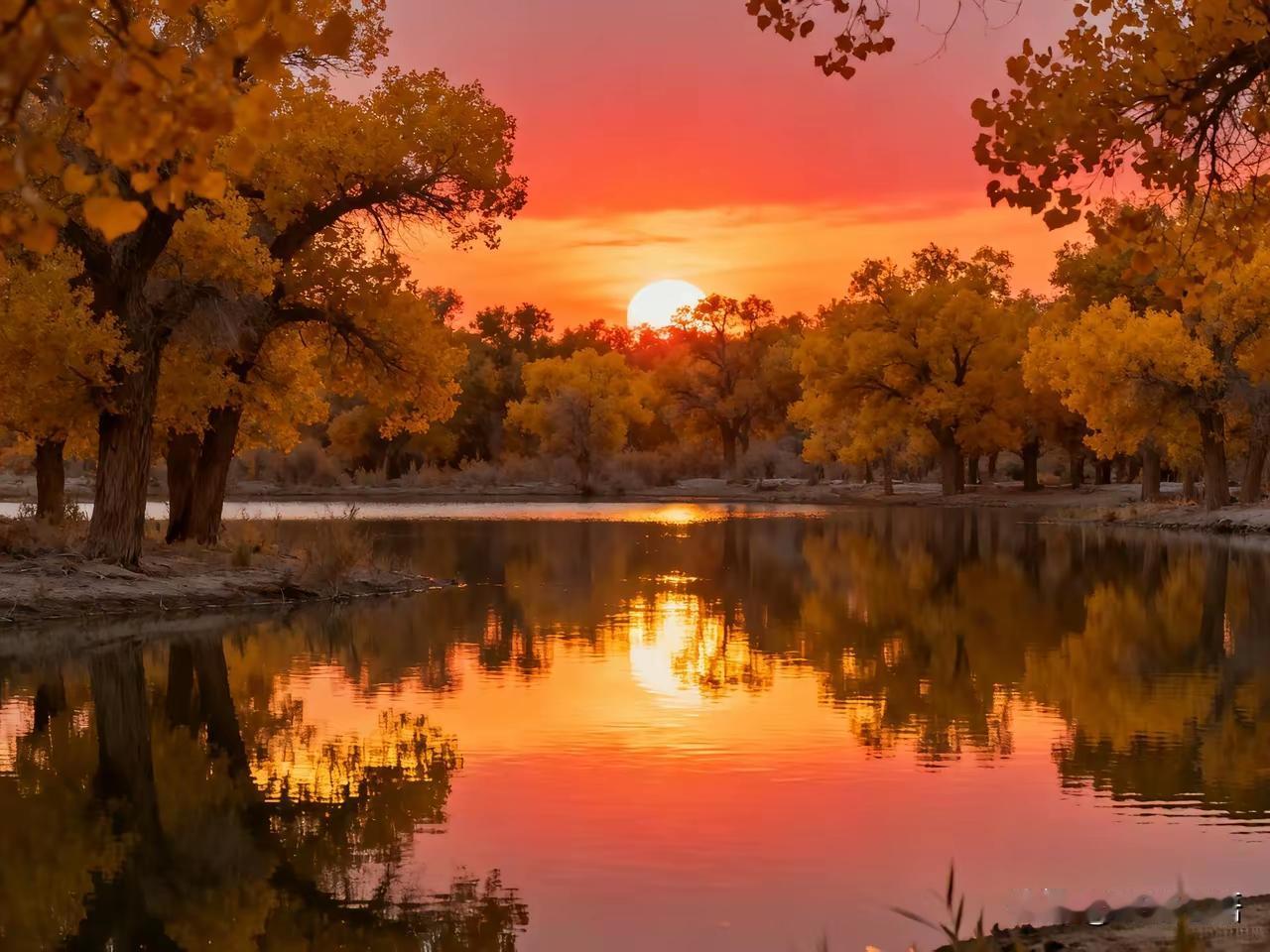 今天是周一，天气晴好，阳光明媚，气温也有所回升，感觉很暖和。

尤其是中午，阳光