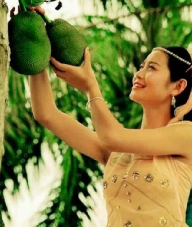 1972年，男知青，偷摘了傣族老乡家的木瓜，被抓了个正着。男知青拿出2元钱要赔，