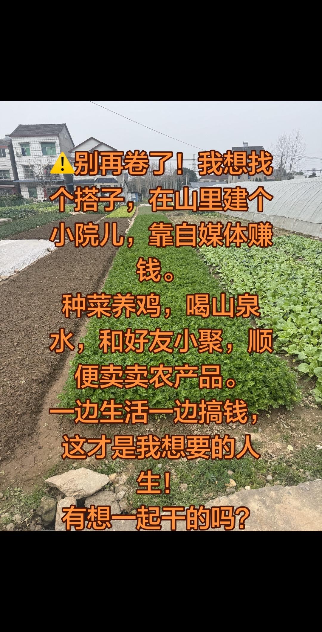 全国，民宿，乡村小院，自媒体搭子